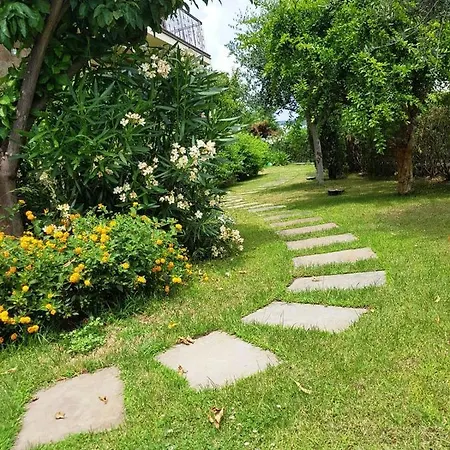 Villa Pineland